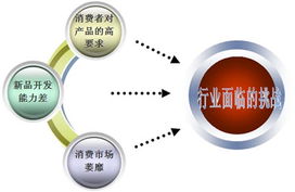 投资建筑涂料项目评估分析报告