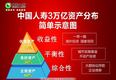 中国人寿投资分布与管理策略概览