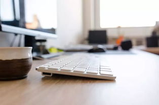 重庆新版物业管理条例明年5月施行，投资管理迎重大变革